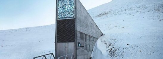 Che ne sarà del ‘Doomsday’ Seed Vault dell’Artico?