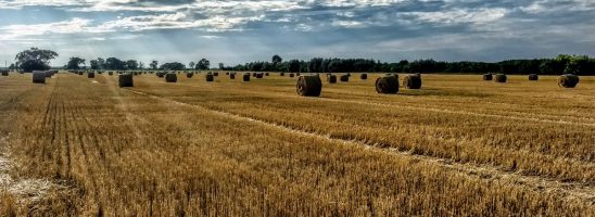 #CambiamoAgricoltura: «Italia delude, nessun impegno serio e tante contraddizioni»