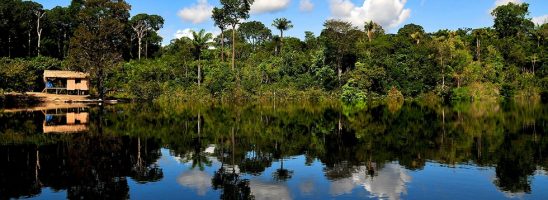 Trovato morto Mario Paciolla, volontario napoletano che operava da anni in Colombia