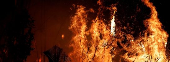 Amazzonia brasiliana: boom di incendi, anche nelle riserve naturali protette