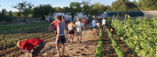 È tempo di cibo sano ed etico