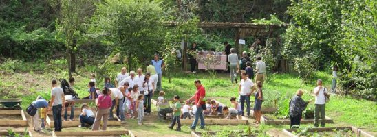 Volete realizzare un orto urbano? È il momento di farvi avanti