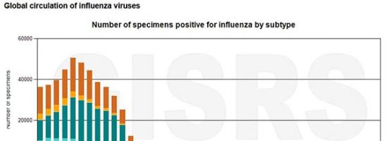 Sim sala bim e l’influenza magicamente sparisce!