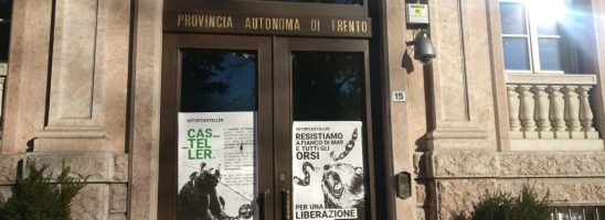 Apparsi a Trento e in molte altre città italiane manifesti e cartelli a sostegno degli orsi trentini