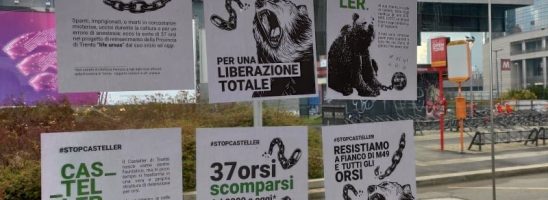 Non c’è rivoluzione senza liberazione animale, e viceversa