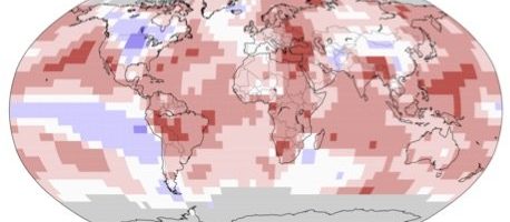 Tutto quello che avremmo voluto sapere su crisi climatica e zootecnia – ma di cui (quasi) nessuno parla