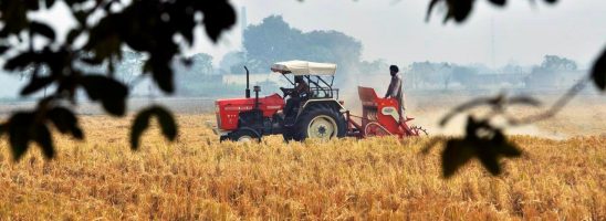 India, contadini in sciopero della fame: «Basta leggi che soffocano piccola agricoltura»