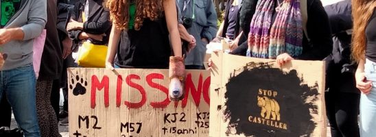 “Smontiamo la gabbia”, al fianco degli orsi: da tutta Italia oggi a Trento per la seconda manifestazione nazionale della campagna #StopCasteller