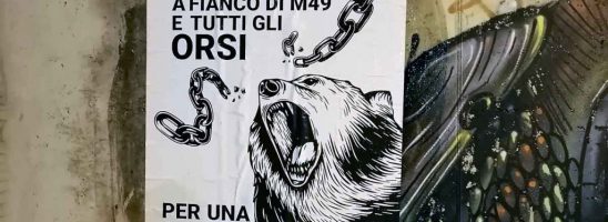 Trento – La seconda manifestazione nazionale della campagna #StopCasteller