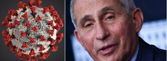 Covid. Fauci cambia opinione sull’origine del virus e Facebook cambia i criteri di censura delle notizie…