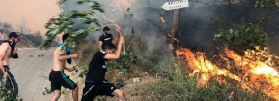 Incendi in Algeria: La crisi ecologica e le politiche neoliberali sono all’origine della catastrofe