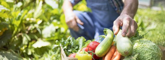 I tre pilastri dell’agricoltura di domani: autoconsumo, scambio e vendita delle eccedenze