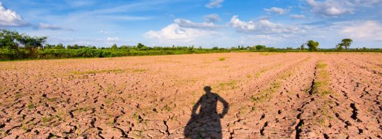 Non piove da mesi, rischio desertificazione. Ma cosa ci importa, tanto siamo vaccinati!