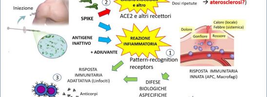 Quali conseguenze con le dosi ripetute?