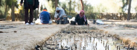 La Tunisia si sta prosciugando: la crisi idrica e alimentare si aggrava