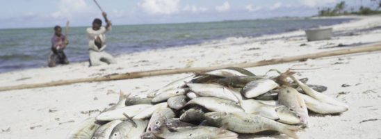 Un disastro TOTALe: l’estrattivismo fossile in Mozambico