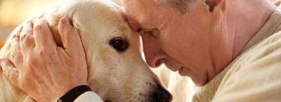 Lo stress ha un odore e i cani lo rilevano