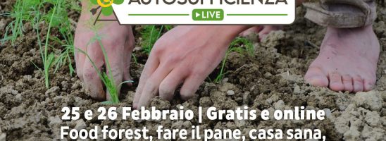 Paolo Ermani e Alessandro Ronca ad Autosufficienza Live il 26 febbraio