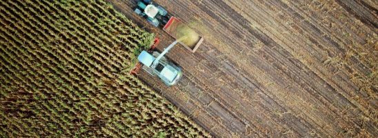 L’agricoltura francese tra crisi sociale e crisi climatica