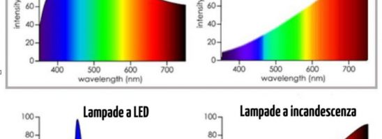 I benefici della Luce naturale e i danni della luce artificiale