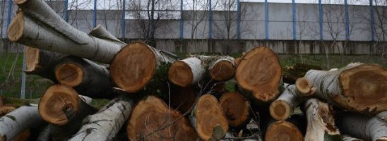 Un’alta marea di asfalto. Con il Passante, Bologna avanguardia dell’ingiustizia climatica.