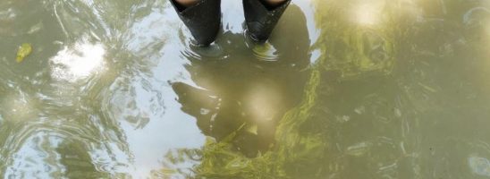 Tra consumo di suolo ed eventi estremi: l’alluvione in Emilia-Romagna non è un caso isolato