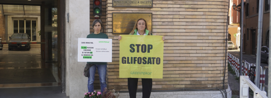 Greenpeace: «Il 12 ottobre si dica no al rinnovo dell’autorizzazione per il glifosato»