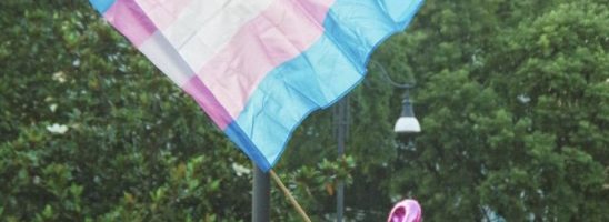 TDOR- Liberi corpi in libere terre