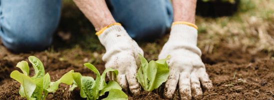 ARI: «Il rifiuto degli accordi di libero scambio e la richiesta di un reddito dignitoso sono alla base delle mobilitazioni degli agricoltori in Europa»