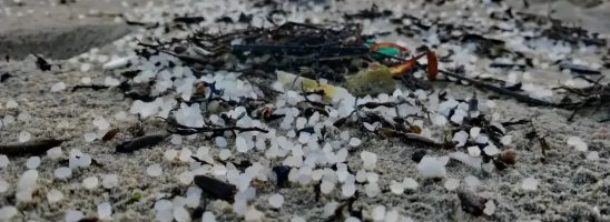 La conferma del disastro in Galizia: 250 quintali di granuli di plastica hanno inquinato mare e coste