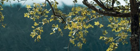 Senza stress, facendo tesoro del nostro tempo ed evitando di essere schiavi del denaro: progetti di vita possibili