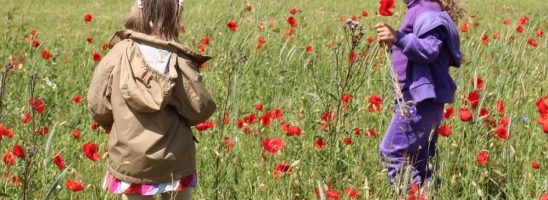 La scuola che vuole bene ai bambini e ragazzi