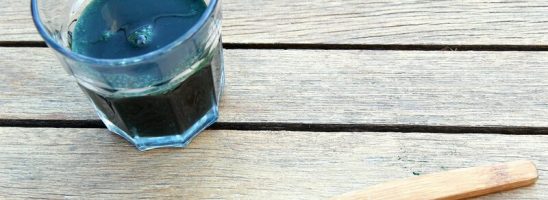 Alzheimer: dall’alga spirulina un possibile contributo per migliorare la funzione cognitiva