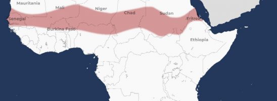 L’ ”Asse della resistenza” del Sahel