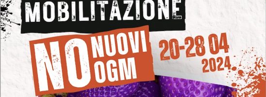 Via libera alla sperimentazione del campo dei nuovi OGM. Annunciate mobilitazioni di protesta