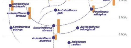 Riuscirà questa volta l’umanità a raggiungere il multipolarismo?