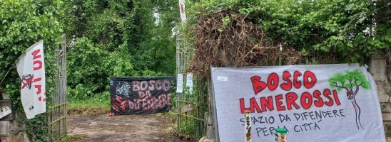 Vicenza – Liberato il bosco Lanerossi!