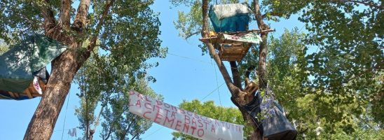 Bologna – Fermare i cantieri è possibile: il parco Don Bosco è salvo