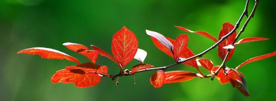 Cambiare si può, eccome! E non c’è bisogno di essere ricchi per farlo!