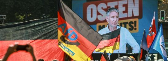 Come finisce la rivoluzione di AfD: La Germania può adottare le sue politiche?