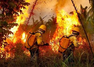 L’Amazzonia sta bruciando