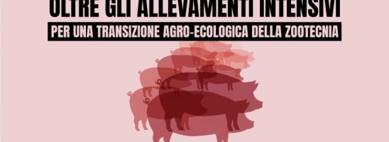 Cinque associazioni: «L’inquinamento degli allevamenti intensivi contribuisce alla morte di 50.000 persone in Italia»