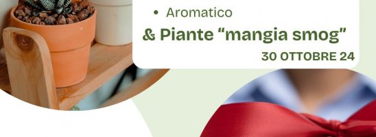 Corso di “Orto in vaso” & “Piante mangia smog”