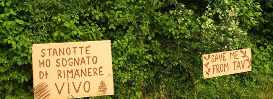 Woods Climate Camp: il programma di dibattiti, talk e workshop