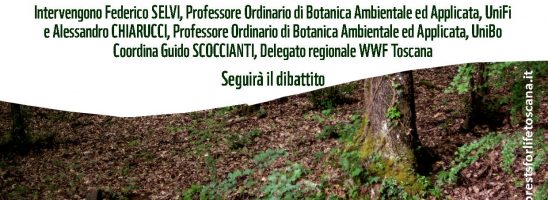 “Boschi toscani: una scomoda verità”: arriva a Firenze il documentario di denuncia