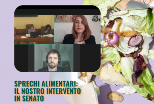 Il nostro intervento in Senato sulla Riduzione dello spreco alimentare.