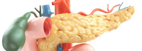 Cellule Alfa e Beta del pancreas: senso biologico