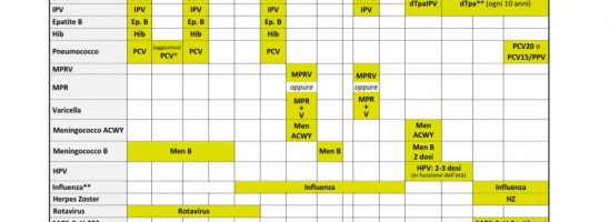 Calendario vaccinale 2025 per i cuccioli degli schiavi