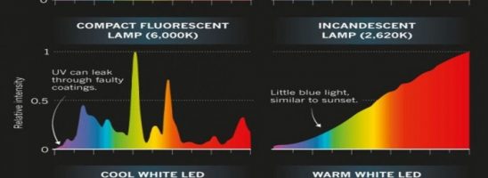 Trump vuole tornare alle lampade ad incandescenza